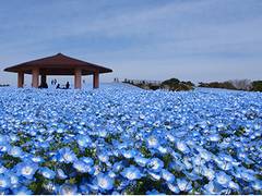 海の中道海浜公園