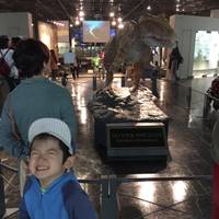 Kensuke  Saitoさんが撮った 福井県立恐竜博物館 の写真