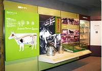 雪印メグミルク酪農と乳の歴史館 の写真 (3)