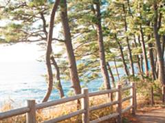 福井の子連れ旅行におすすめ観光施設選 子供が喜ぶ遊び場や地元で人気のお出かけ先も 子連れのおでかけ 子どもの遊び場探しならコモリブ 福井の子連れ旅行におすすめ観光施設選 子供が喜ぶ遊び場や地元で人気のお出かけ先も 子連れのおでかけ 子どもの遊び場探しならコモリブ