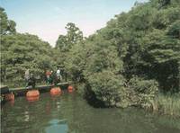 浮島の森 の写真 (2)