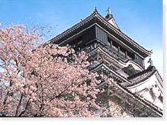 桜が楽しめる福岡のおすすめ公園10選。お花見を満喫しよう