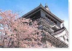 桜が楽しめる福岡のおすすめ公園10選。お花見を満喫しよう