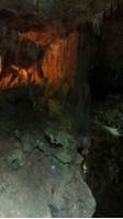 八重山鍾乳洞動植物園 の写真 (1)