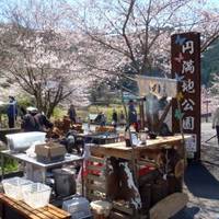  円満地公園オートキャンプ場   の写真 (1)