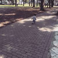みひゃんさんが撮った 芦花公園 の写真