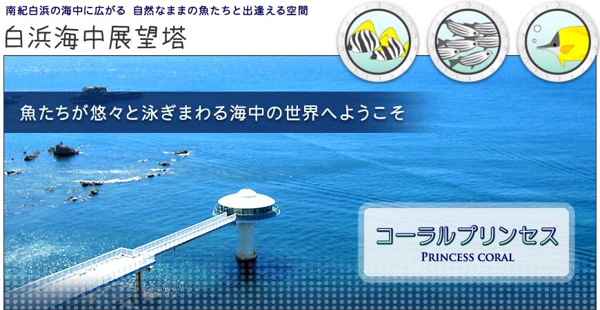 白浜海中展望塔 しらはまかいちゅうてんぼうとう 子連れのおでかけ 子どもの遊び場探しならコモリブ