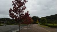 岡山市日応寺自然の森スポーツ広場 の写真 (3)