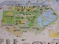 上野で子供と楽しめる遊び場12選 赤ちゃん向け施設や上野公園にある遊具 イベントまで 子連れのおでかけ 子どもの遊び場探しならコモリブ