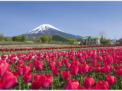 静岡の子連れ旅行で行きたい観光施設25選！赤ちゃん連れが楽しめる場所や子供に人気の所も