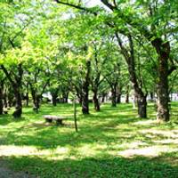 村松公園 の写真 (2)