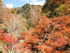 中津峡 （なかつきょう）