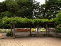 赤塚公園 の写真 (1)