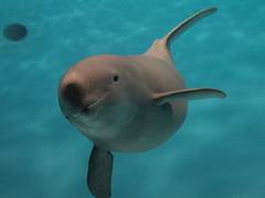 宮島水族館