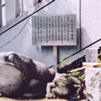 十番稲荷神社 の写真 (2)