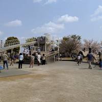 大島小松川公園 の写真 (1)