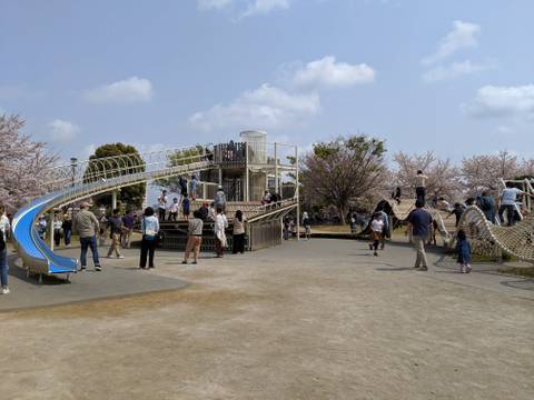 たくさん 公園 が 遊具 ある