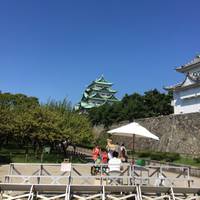 るこさんが撮った 名古屋城 の写真