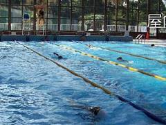 海老名運動公園 子連れのおでかけ 子どもの遊び場探しならコモリブ 海老名運動公園 子連れのおでかけ 子どもの遊び場探しならコモリブ