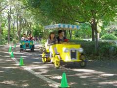 千葉県船橋子連れお花見にぴったり！おすすめお花見スポット9選