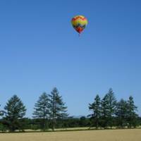 ほっとえあ 十勝 熱気球フリーフライト の写真 (3)