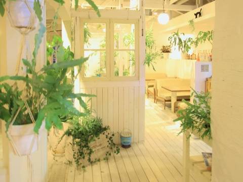 福岡糸島子連れで利用できる海沿いカフェ6選 サンフラワーも 子連れのおでかけ 子どもの遊び場探しならコモリブ 福岡糸島子連れで利用できる海沿いカフェ6選 サンフラワーも 子連れのおでかけ 子どもの遊び場探しならコモリブ