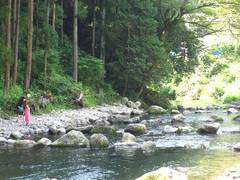 秋川国際マス釣り場