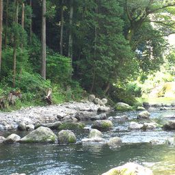東京の子連れで行ける釣り堀10選 魚も食べられちゃう Comolib Magazine 東京の子連れで行ける釣り堀10選 魚も食べられちゃう Comolib Magazine