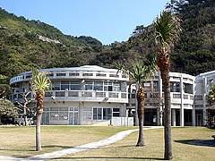 奄美海洋展示館 子連れのおでかけ 子どもの遊び場探しならコモリブ