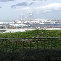 港の見える丘公園 の写真 (1)