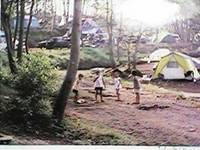 南那須オートキャンプ場 の写真 (2)