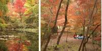 兵庫県立三木山森林公園 の写真 (2)