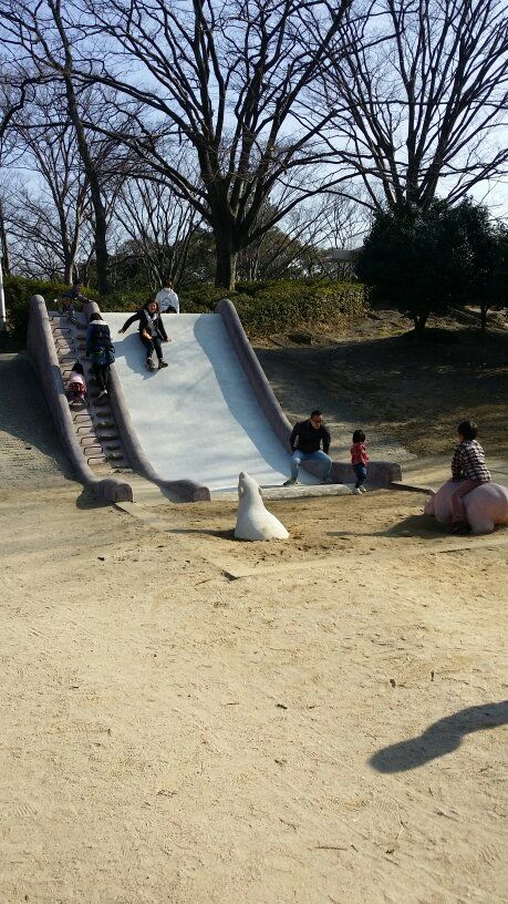 大池公園 子連れのおでかけ 子どもの遊び場探しならコモリブ