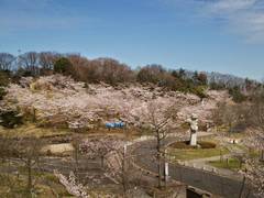 奈良でアスレチックのある施設15選！子供に人気の公園や大人向けフィールドアスレチックも