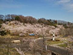 生駒山麓公園