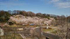 奈良でアスレチックのある施設15選！子供に人気の公園や大人向けフィールドアスレチックも