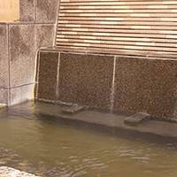 大江戸温泉物語 仙台コロナの湯 の写真