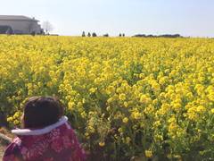横須賀の子供向け遊び場15選 遊具のある公園や三浦半島観光に最適なところも 子連れのおでかけ 子どもの遊び場探しならコモリブ 横須賀の子供向け遊び場15選 遊具のある公園や三浦半島観光に最適なところも 子連れのおでかけ 子どもの遊び場探しならコモリブ