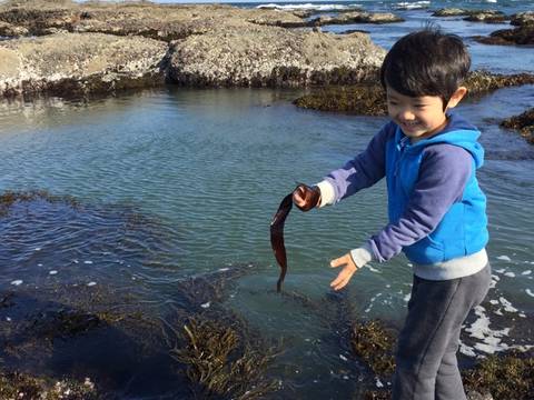 子連れで茨城にいこう 子連れに優しい宿泊スポット8選 子連れのおでかけ 子どもの遊び場探しならコモリブ 子連れで茨城にいこう 子連れに優しい宿泊スポット8選 子連れのおでかけ 子どもの遊び場探しならコモリブ