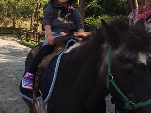 静岡の子連れ観光 遊び場40選 静岡市の子供が喜ぶおすすめ施設や子供向けイベント開催も 子連れのおでかけ 子どもの遊び場探しならコモリブ 静岡の子連れ観光 遊び場40選 静岡市の子供が喜ぶおすすめ施設や子供向けイベント開催も 子連れのおでかけ 子どもの遊び場探しならコモリブ