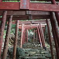 祐徳稲荷神社 の写真 (2)