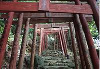 祐徳稲荷神社 の写真 (2)