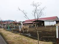 モーモーファーム 竹原牧場 の写真 (2)