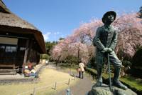 秩父宮記念公園 (ちちぶのみやきねんこうえん) の写真 (2)