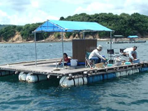 三重県の親子で楽しめるおすすめ釣り堀スポット9選 子連れのおでかけ 子どもの遊び場探しならコモリブ 三重県の親子で楽しめるおすすめ釣り堀スポット9選 子連れのおでかけ 子どもの遊び場探しならコモリブ