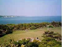 城ヶ島公園 の写真 (2)