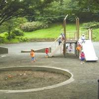 鯛ヶ崎公園プレイパーク の写真 (1)