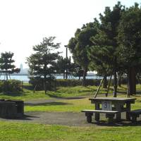 城南島海浜公園キャンプ場 の写真 (1)