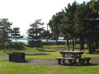 城南島海浜公園キャンプ場 の写真