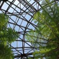 夢の島熱帯植物館 の写真 (3)